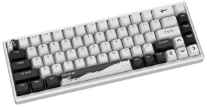 Polar 65